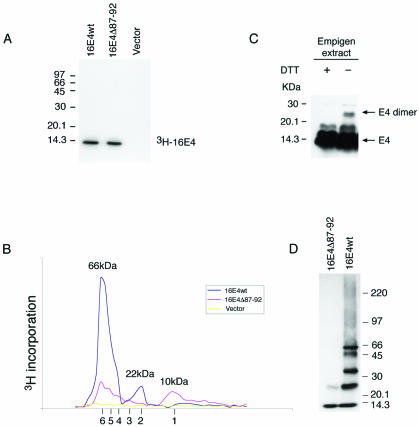 FIG. 6.