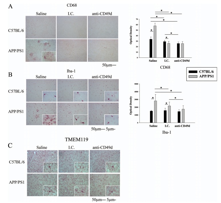 Fig. (3)