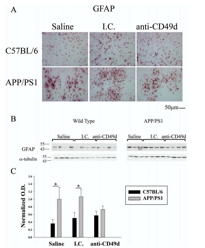 Fig. (4)