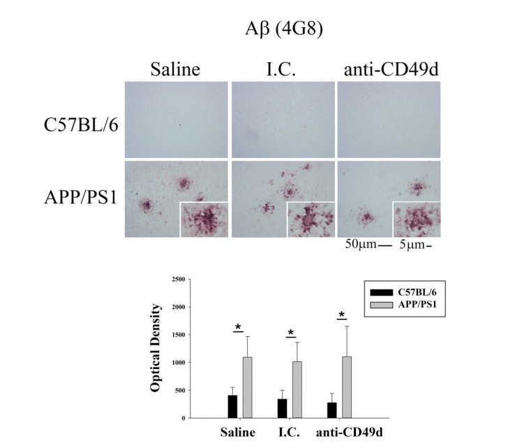 Fig. (1)