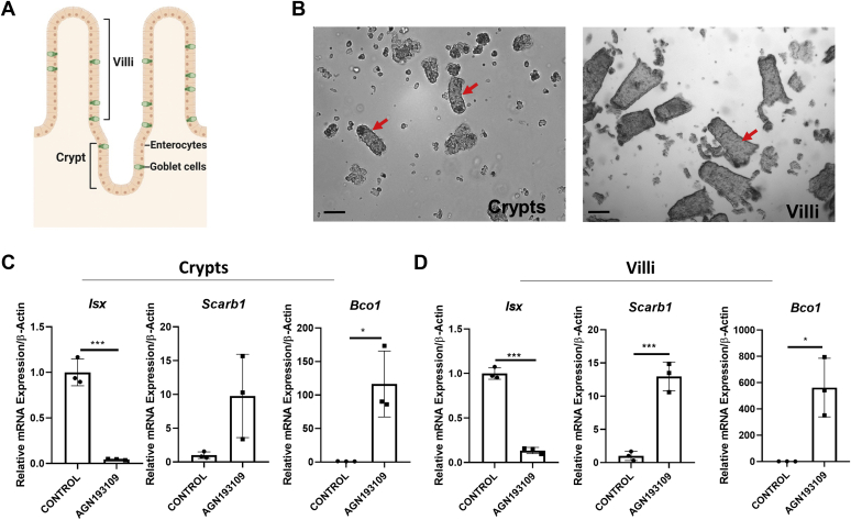 Figure 6