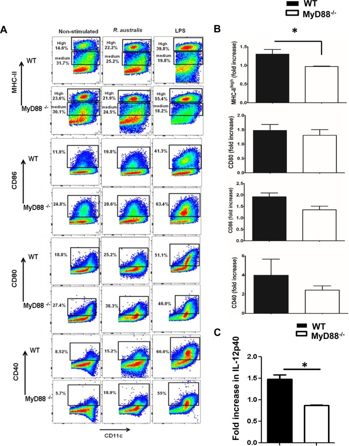 FIG 6