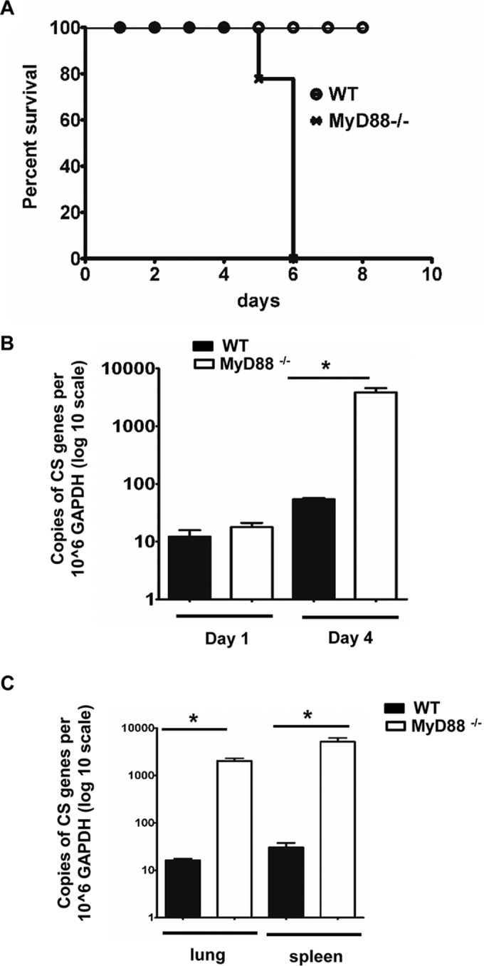 FIG 2