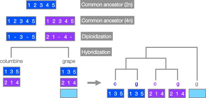 Fig. 5