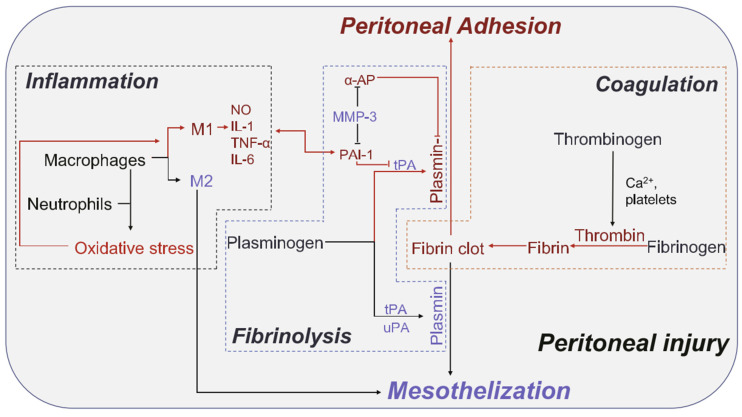 Figure 20