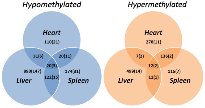 Figure 1.