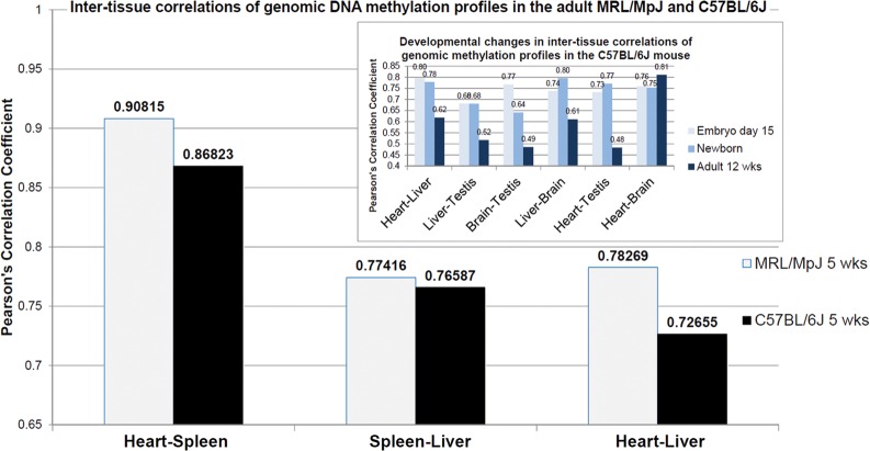 Figure 4.