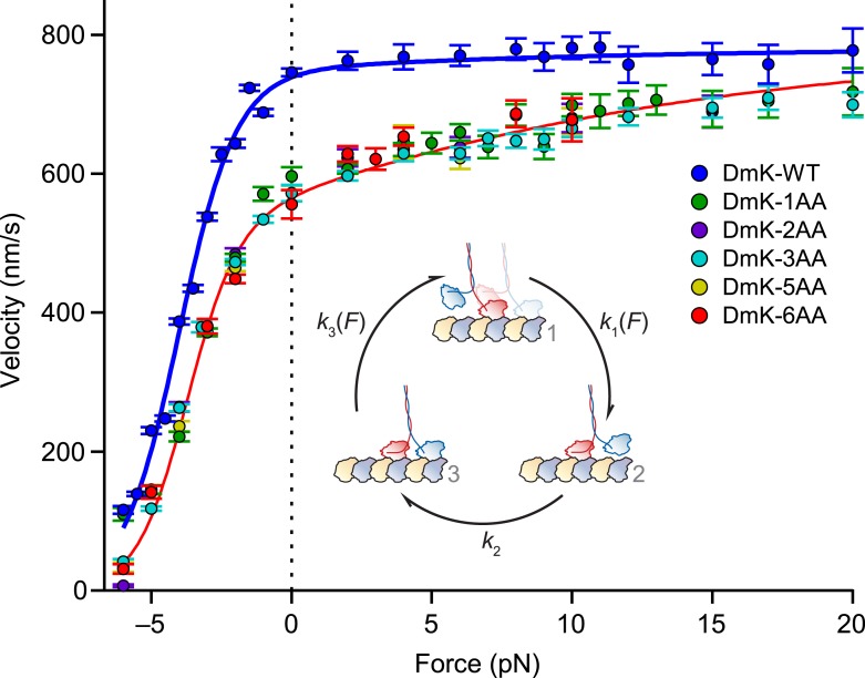 Figure 5.