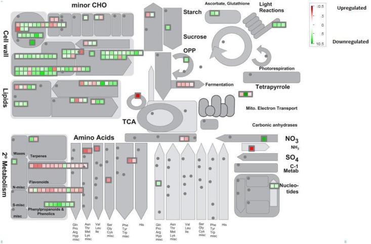 Fig 6