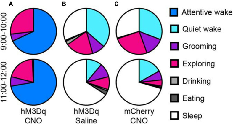 FIGURE 3