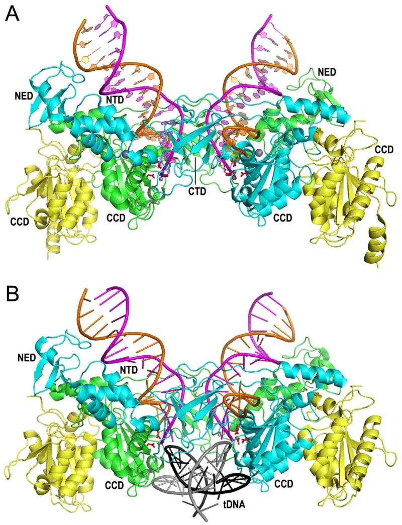 Figure 5