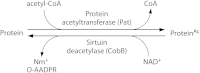 FIG 2