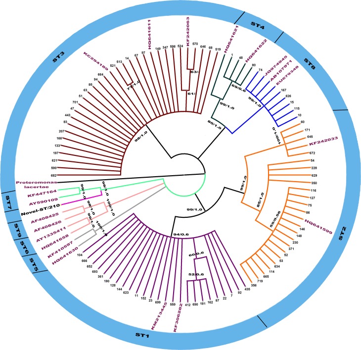 Fig 1