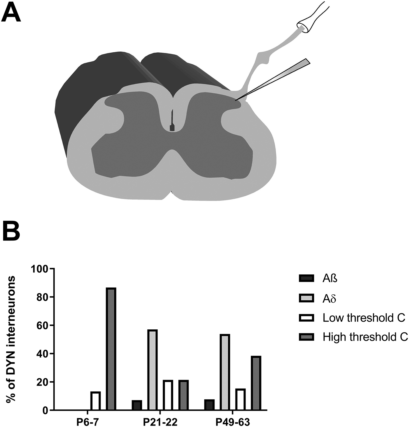 Figure 3: