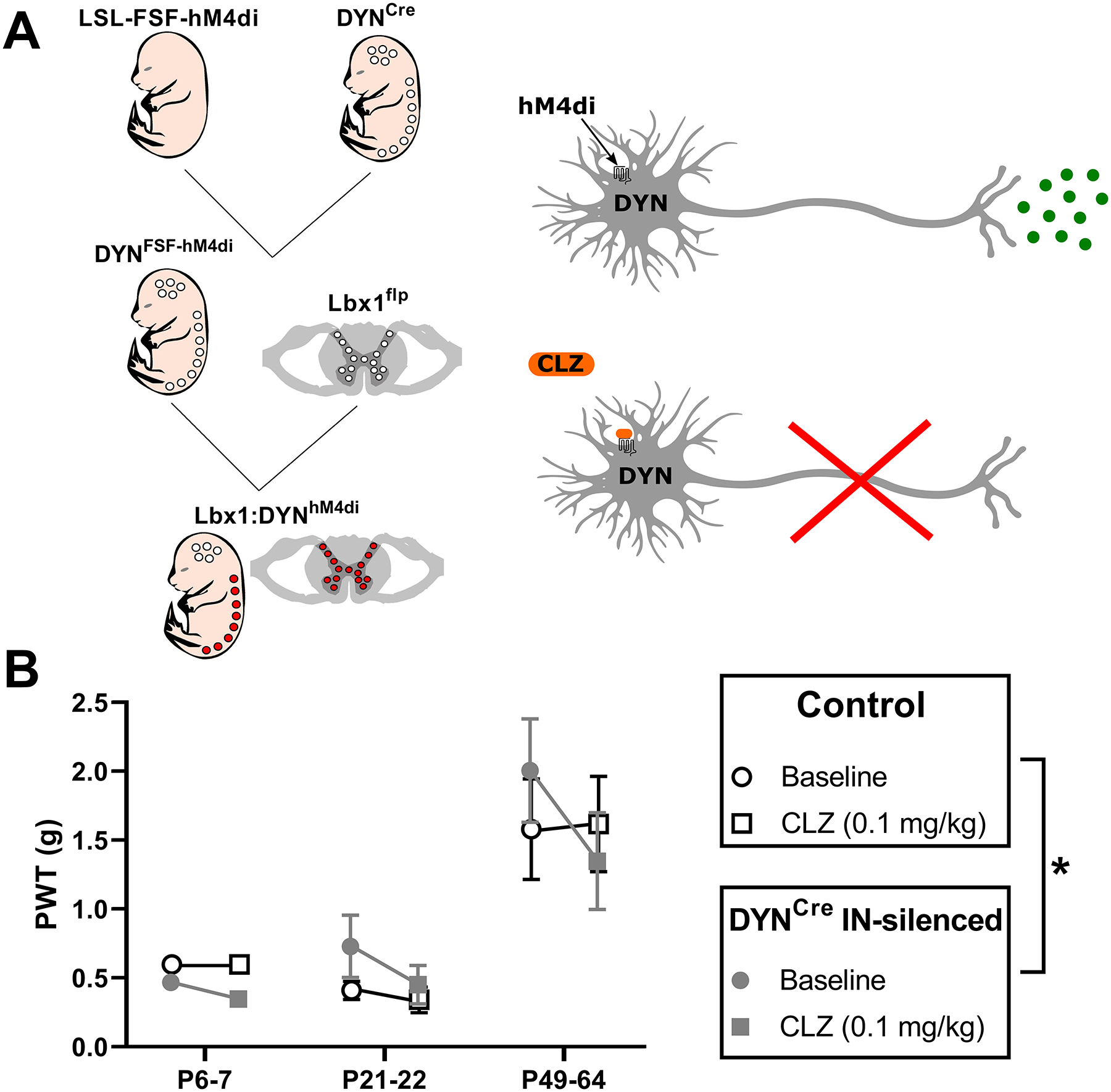 Figure 10: