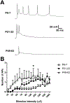 Figure 5: