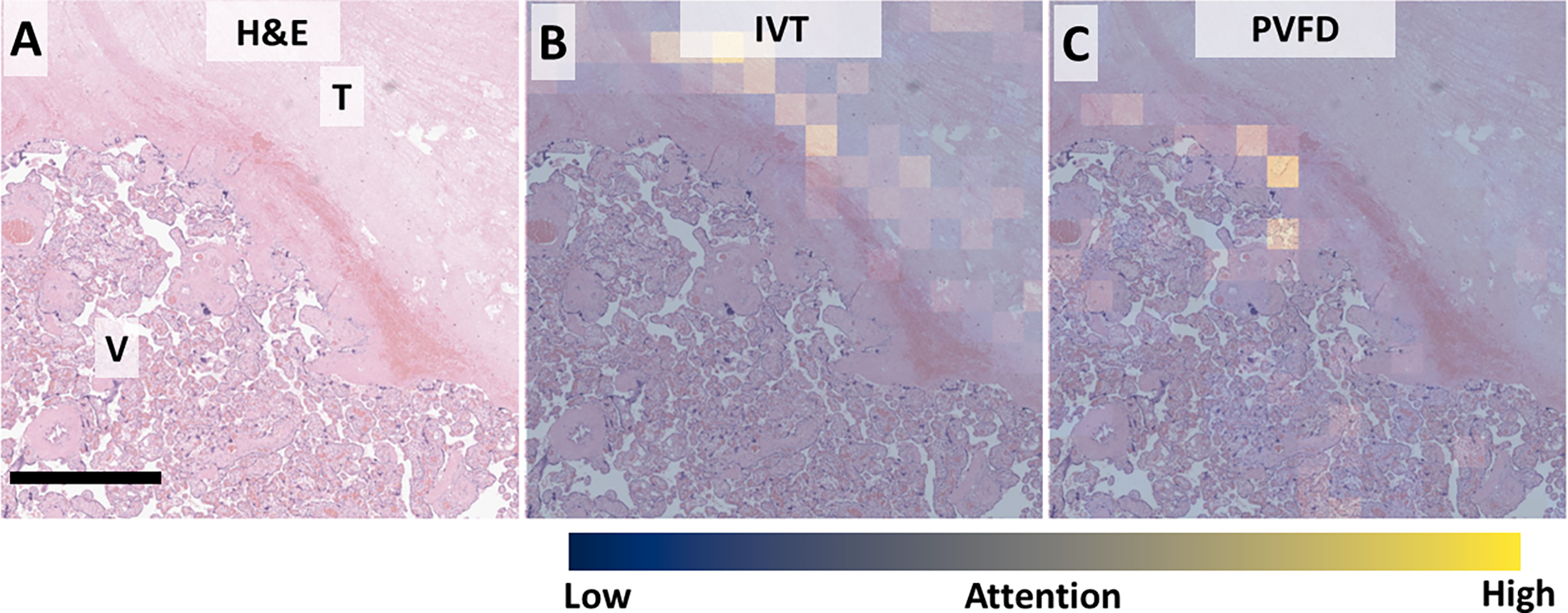 Figure 6,