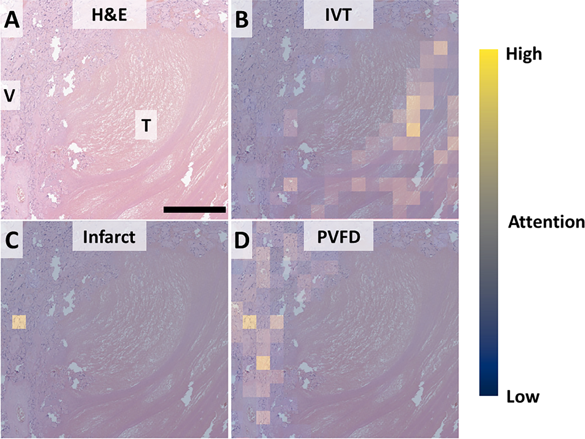 Figure 7,