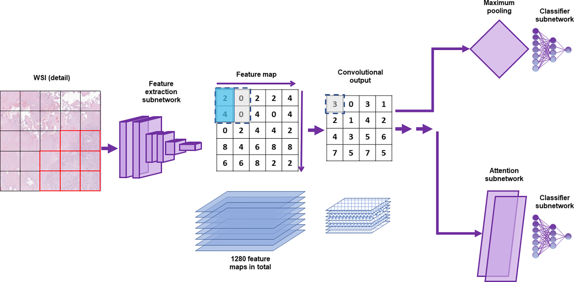 Figure 3,