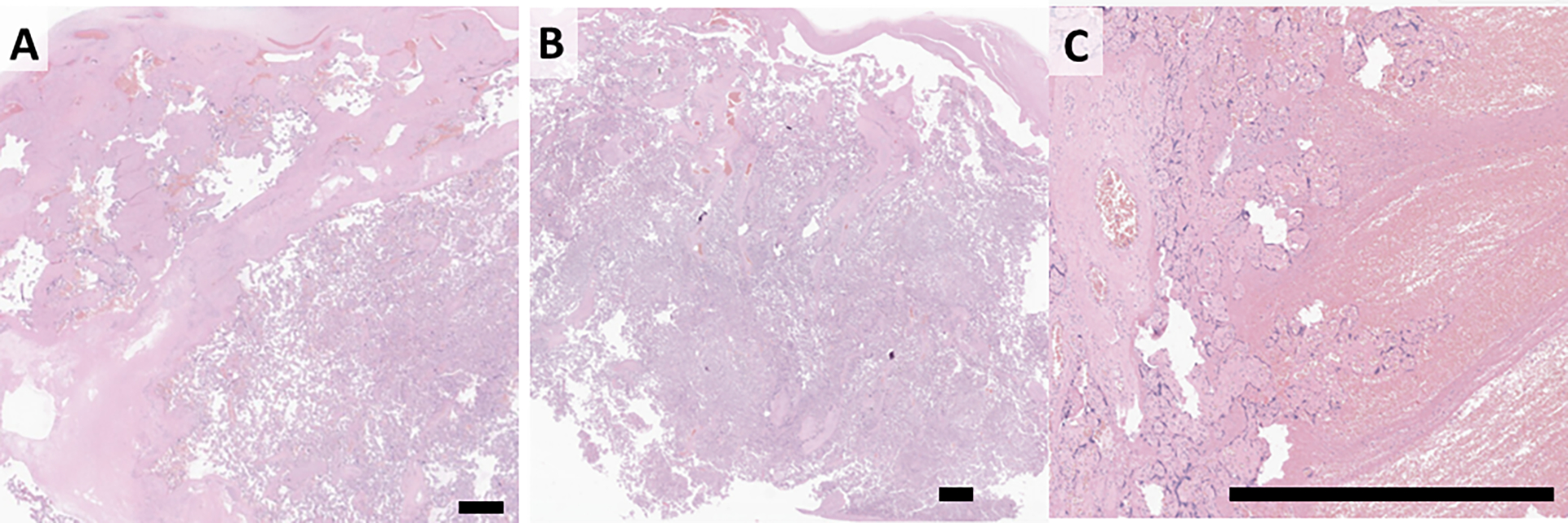 Figure 5,