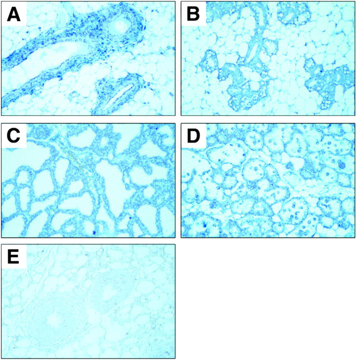 Figure 10.