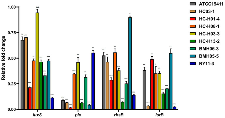 Figure 5