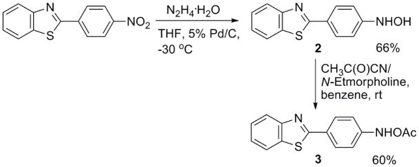 Scheme 2