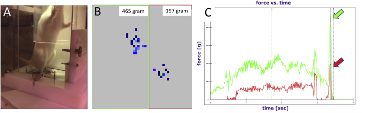 Figure 2