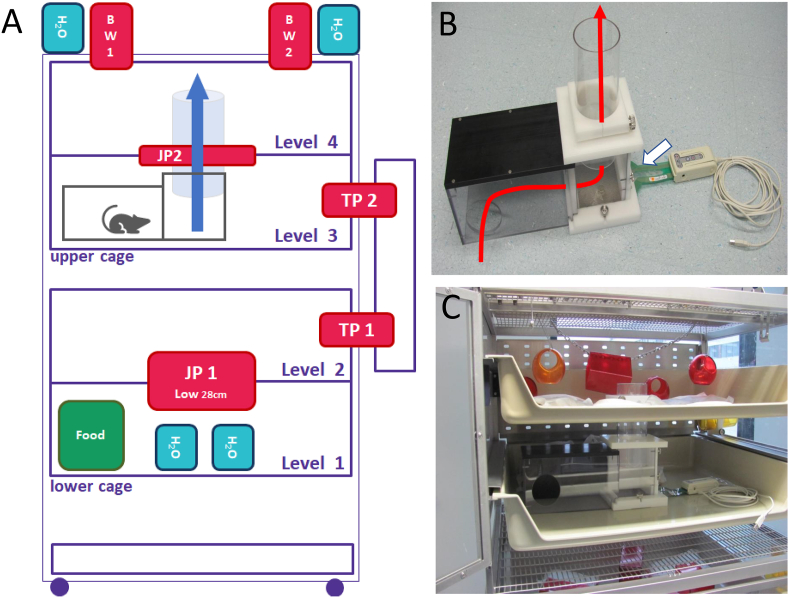 Figure 1