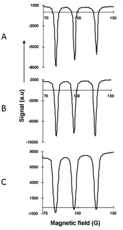 Fig.5