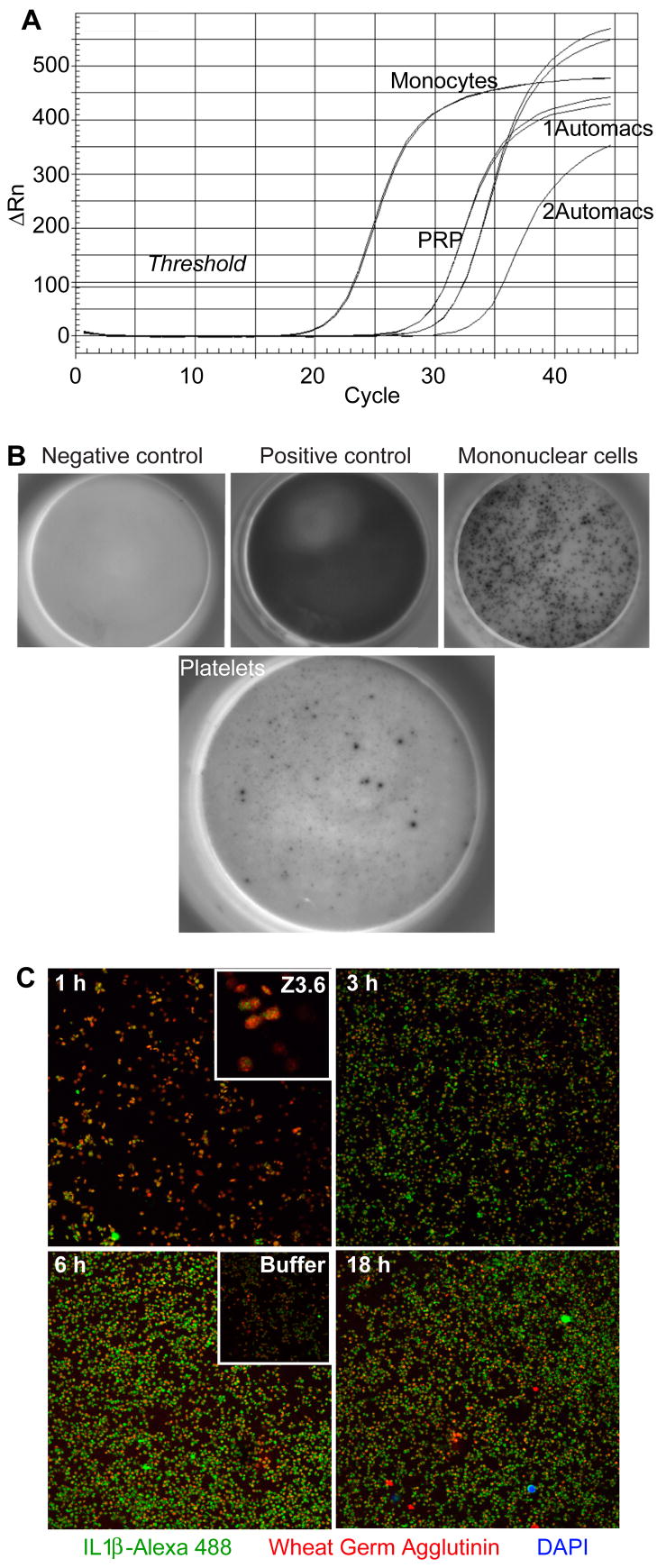 Lipopolysaccharide is a Direct Agonist for Platelet RNA Splicing - PMC