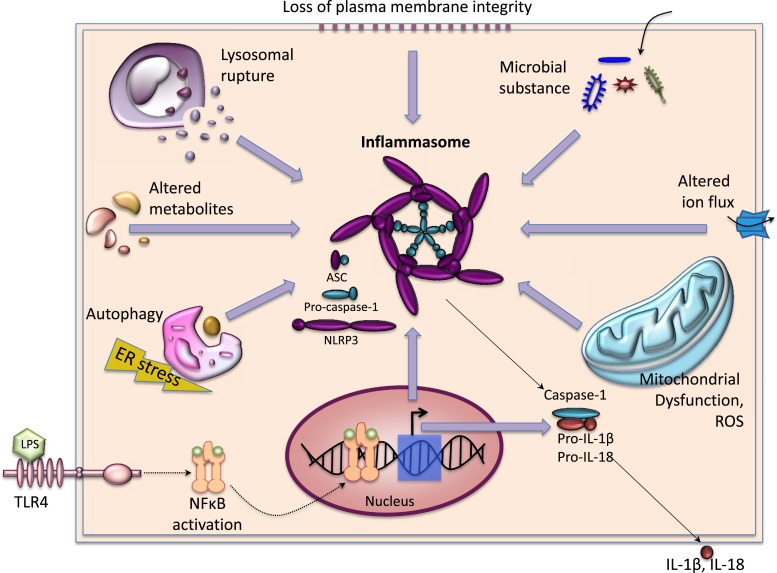 Figure 3.