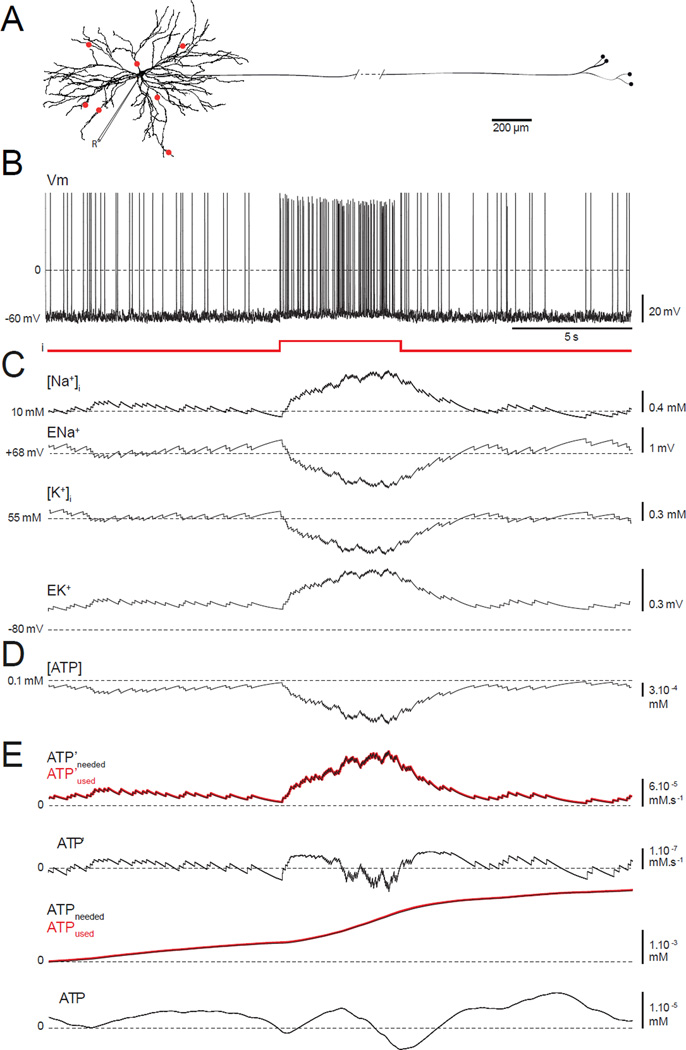 FIGURE 1