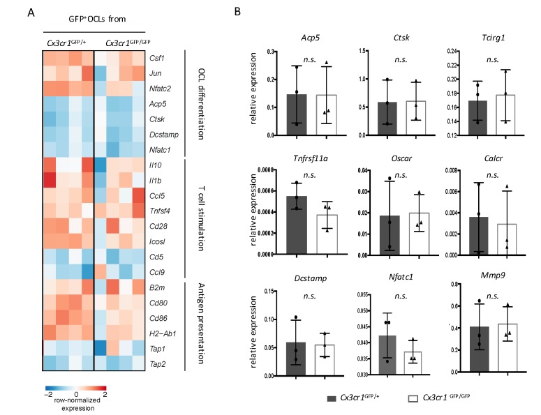 Figure 2—figure supplement 2.