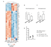 Figure 3—figure supplement 1.