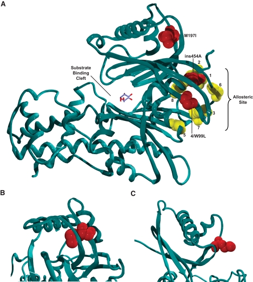 FIG. 4.