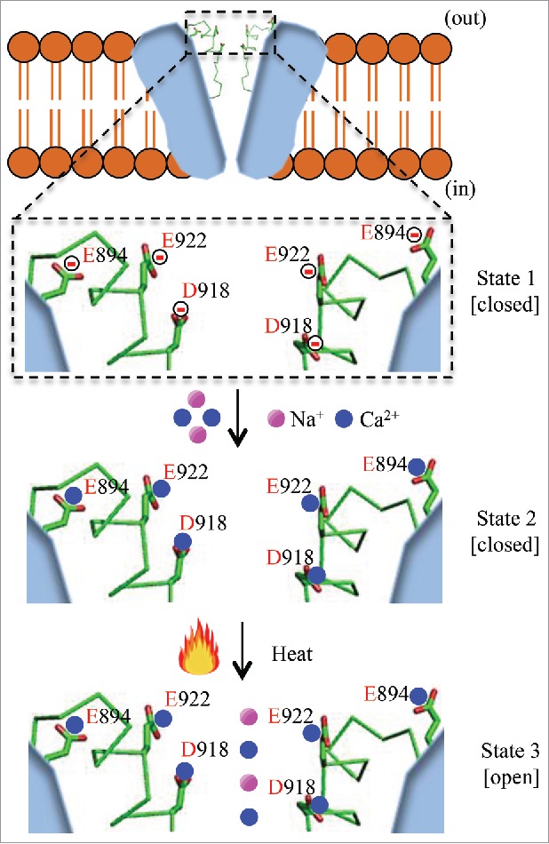 Figure 1.