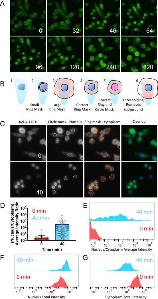 Figure 1: