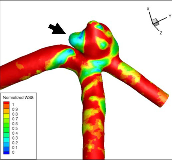 Figure 7.