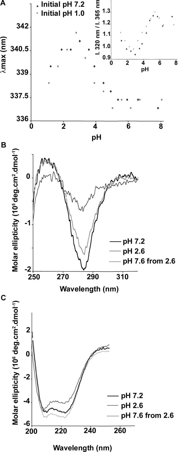 FIGURE 1.