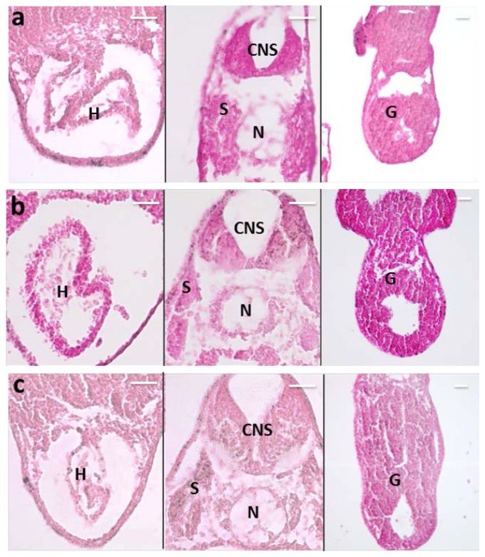 Figure 7.