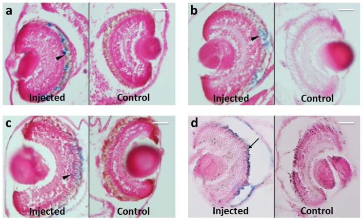 Figure 4.