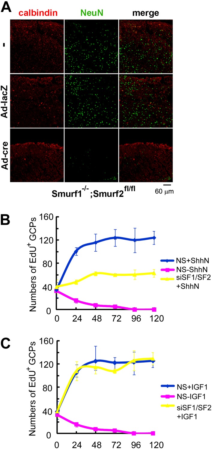 Figure 10.