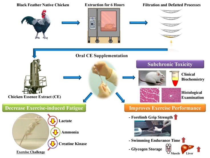 graphic file with name nutrients-06-02681-i001.jpg