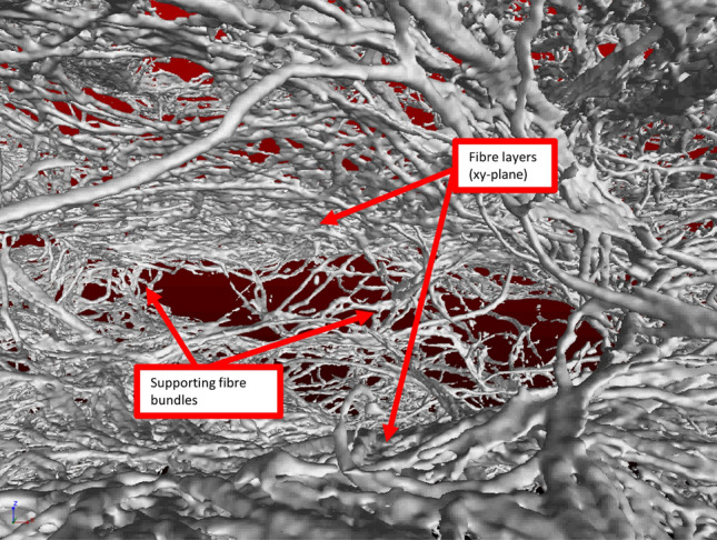 Fig. 12