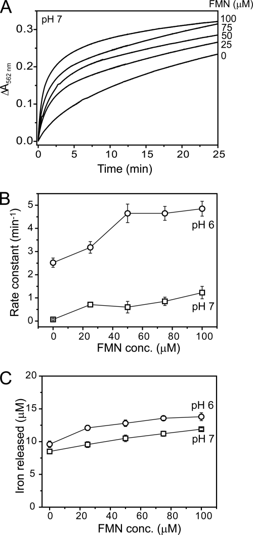 FIGURE 2.