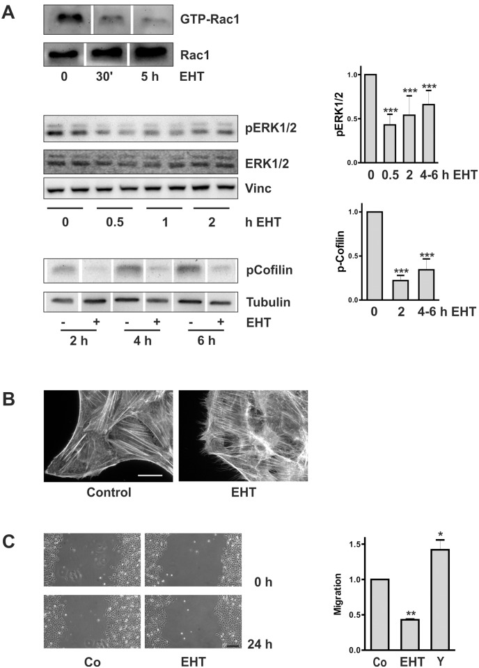 Fig 7