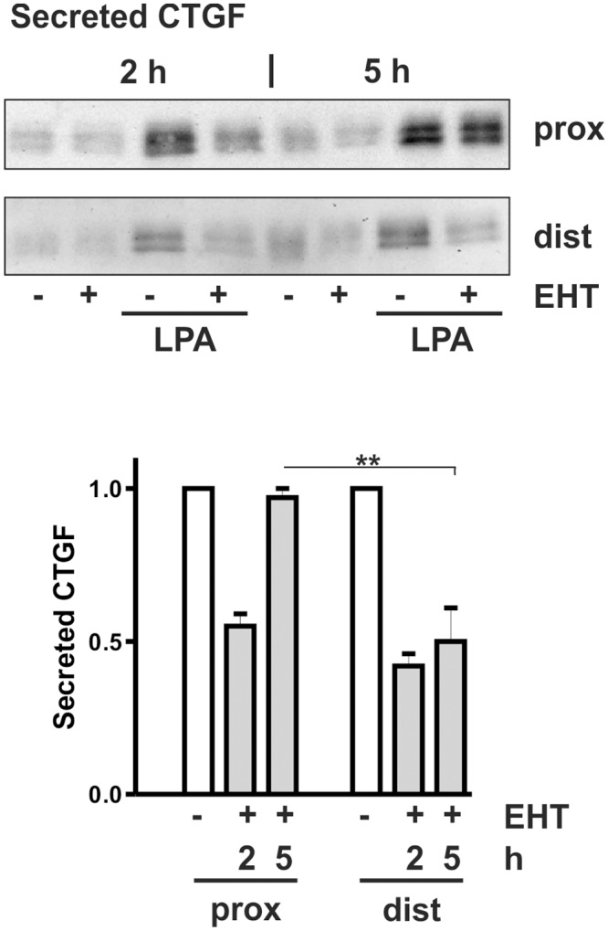 Fig 9