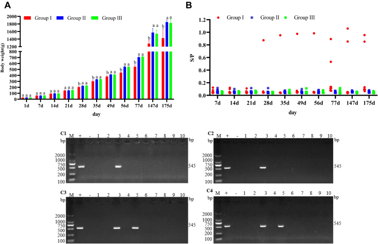 Figure 1