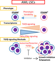 graphic file with name STEM-39-723-g003.jpg